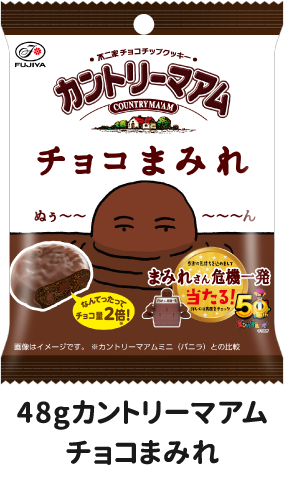48gカントリーマアムチョコまみれ
